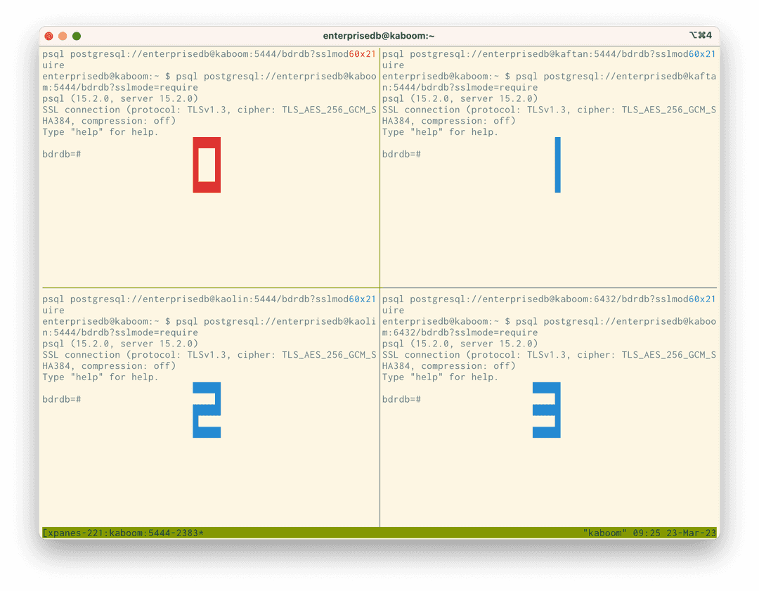 4 Sessions showing numbers